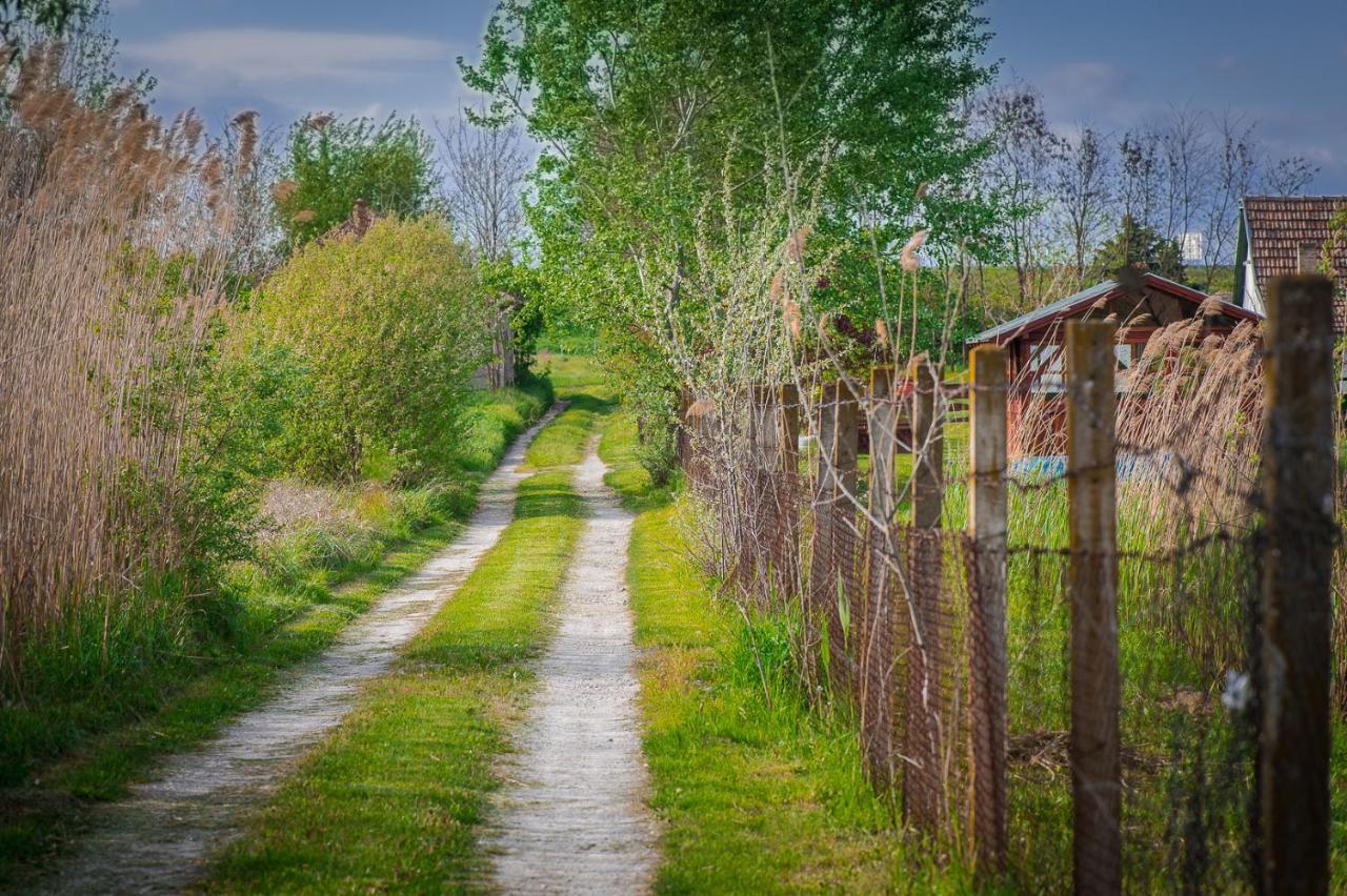 Etno Salas - Etno Ranch - Seosko Turisticko Domacinstvo Villa Palić Dış mekan fotoğraf