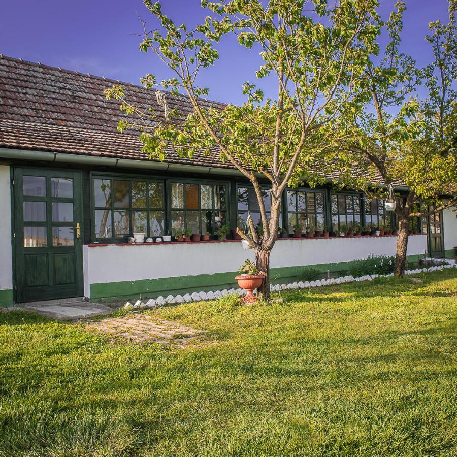 Etno Salas - Etno Ranch - Seosko Turisticko Domacinstvo Villa Palić Dış mekan fotoğraf
