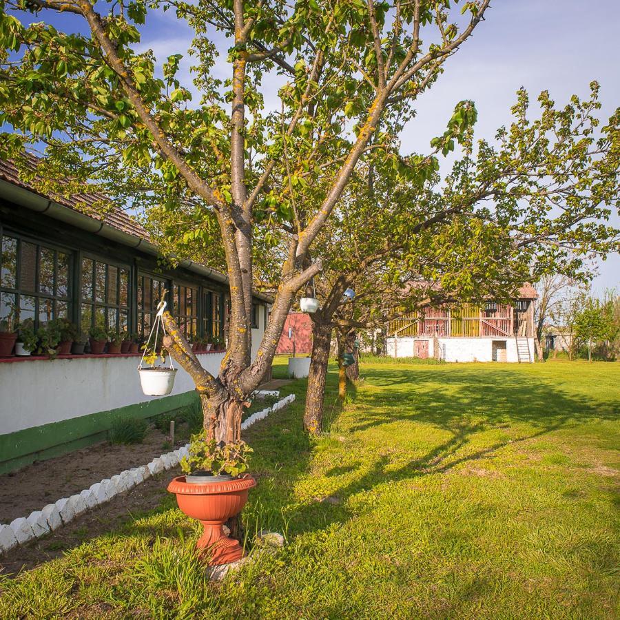 Etno Salas - Etno Ranch - Seosko Turisticko Domacinstvo Villa Palić Dış mekan fotoğraf